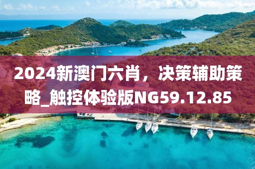 2024新澳門六肖，決策輔助策略_觸控體驗版NG59.12.85