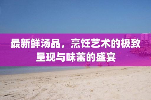最新鮮湯品，烹飪藝術(shù)的極致呈現(xiàn)與味蕾的盛宴
