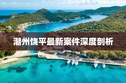 潮州饒平最新案件深度剖析