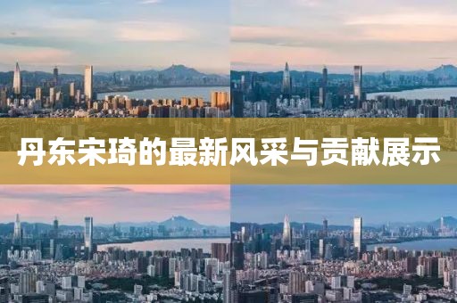 丹東宋琦的最新風采與貢獻展示