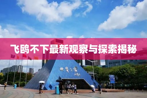 飛鷗不下最新觀察與探索揭秘