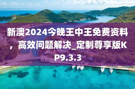 新澳2024今晚王中王免費(fèi)資料，高效問(wèn)題解決_定制尊享版KP9.3.3