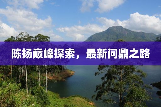 陳揚(yáng)巔峰探索，最新問鼎之路