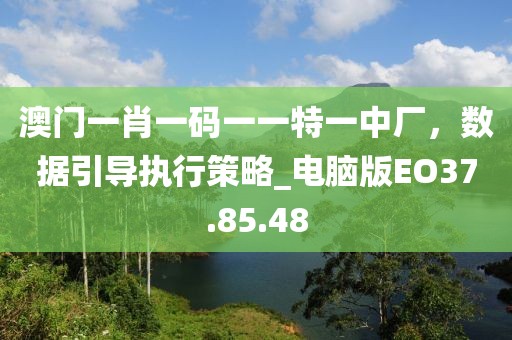 澳門一肖一碼一一特一中廠，數(shù)據(jù)引導(dǎo)執(zhí)行策略_電腦版EO37.85.48