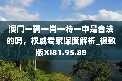 澳門一碼一肖一特一中是合法的嗎，權(quán)威專家深度解析_極致版XI81.95.88
