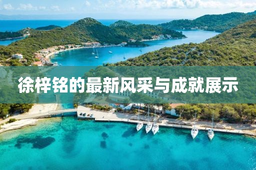 徐梓銘的最新風(fēng)采與成就展示