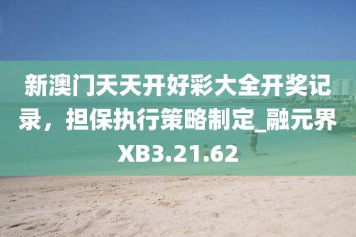 新澳門天天開好彩大全開獎記錄，擔保執(zhí)行策略制定_融元界XB3.21.62
