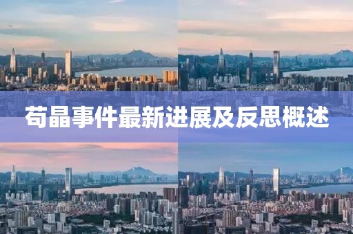 茍晶事件最新進(jìn)展及反思概述