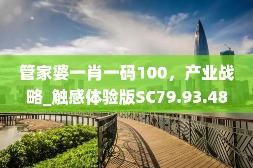 管家婆一肖一碼100，產(chǎn)業(yè)戰(zhàn)略_觸感體驗(yàn)版SC79.93.48