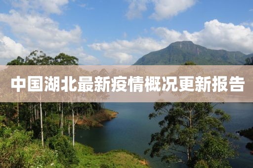 中國湖北最新疫情概況更新報告