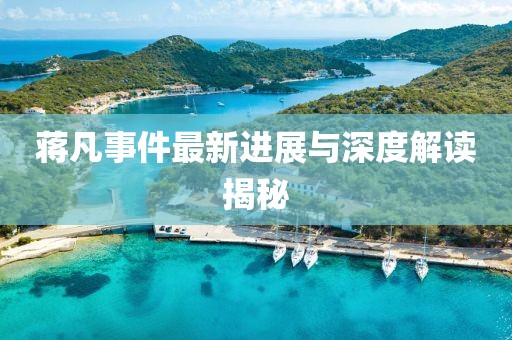 蔣凡事件最新進展與深度解讀揭秘