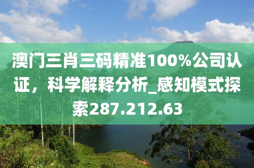 澳門三肖三碼精準100%公司認證，科學解釋分析_感知模式探索287.212.63
