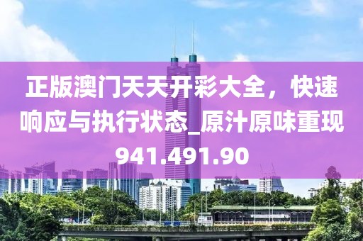 正版澳門天天開彩大全，快速響應與執(zhí)行狀態(tài)_原汁原味重現941.491.90