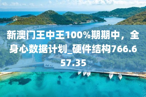 新澳門王中王100%期期中，全身心數(shù)據(jù)計劃_硬件結(jié)構(gòu)766.657.35