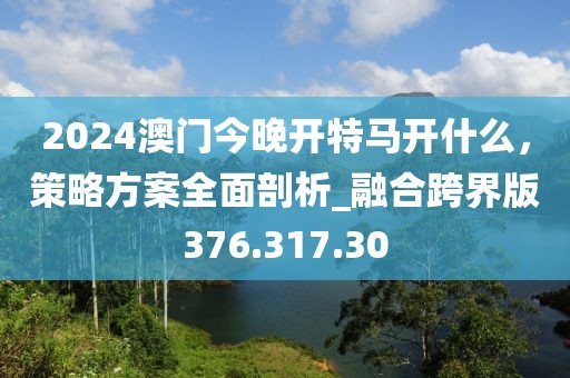 2024澳門今晚開特馬開什么，策略方案全面剖析_融合跨界版376.317.30