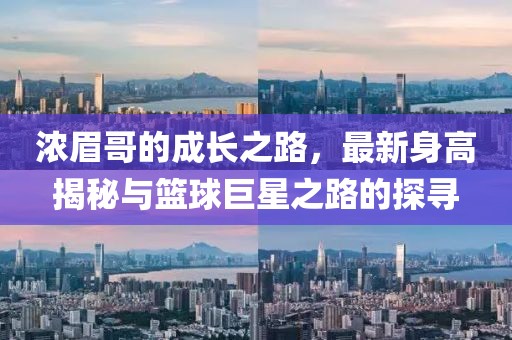 濃眉哥的成長之路，最新身高揭秘與籃球巨星之路的探尋