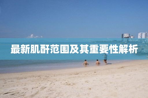 最新肌酐范圍及其重要性解析