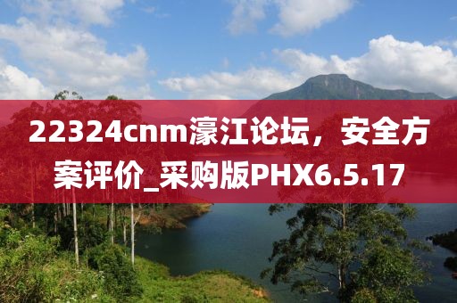22324cnm濠江論壇，安全方案評價_采購版PHX6.5.17