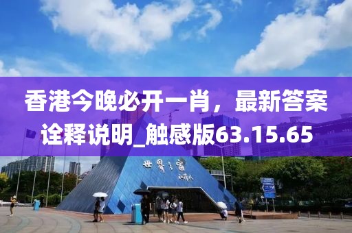 香港今晚必開一肖，最新答案詮釋說明_觸感版63.15.65