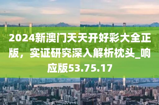2024新澳門天天開好彩大全正版，實證研究深入解析枕頭_響應版53.75.17