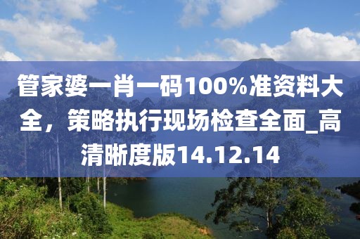 管家婆一肖一碼100%準資料大全，策略執(zhí)行現場檢查全面_高清晰度版14.12.14