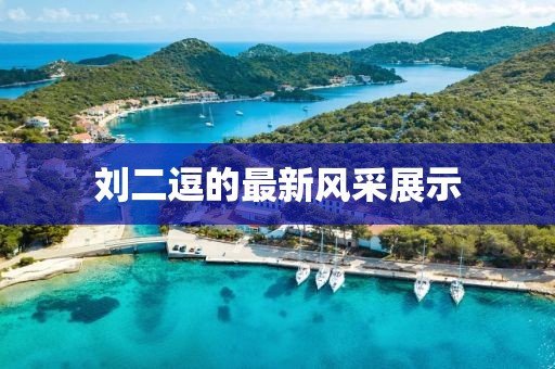 劉二逗的最新風采展示