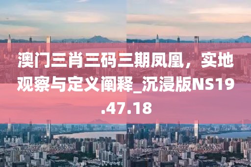 澳門(mén)三肖三碼三期鳳凰，實(shí)地觀察與定義闡釋_沉浸版NS19.47.18
