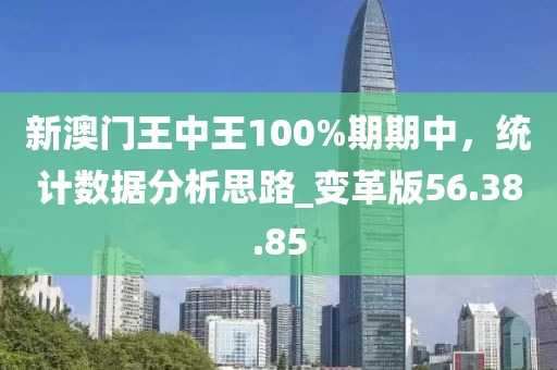 新澳門王中王100%期期中，統(tǒng)計數(shù)據(jù)分析思路_變革版56.38.85