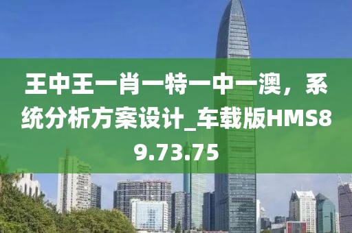 王中王一肖一特一中一澳，系統(tǒng)分析方案設(shè)計(jì)_車載版HMS89.73.75