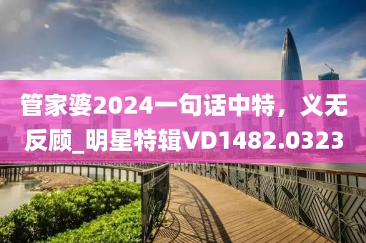 管家婆2024一句話中特，義無反顧_明星特輯VD1482.0323