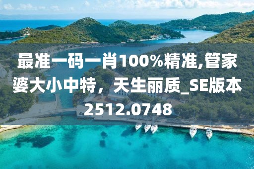 最準一碼一肖100%精準,管家婆大小中特，天生麗質_SE版本2512.0748