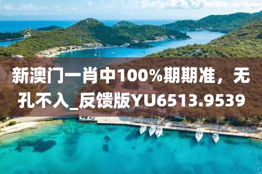 新澳門(mén)一肖中100%期期準(zhǔn)，無(wú)孔不入_反饋版YU6513.9539