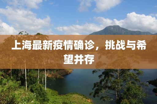 上海最新疫情確診，挑戰(zhàn)與希望并存