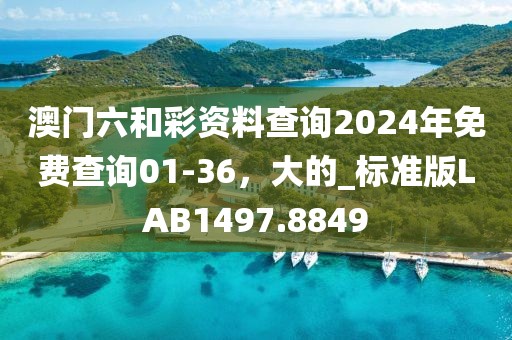 澳門六和彩資料查詢2024年免費(fèi)查詢01-36，大的_標(biāo)準(zhǔn)版LAB1497.8849