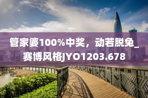 管家婆100%中獎，動若脫兔_賽博風格JYO1203.678