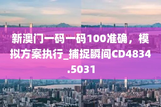 新澳門一碼一碼100準確，模擬方案執(zhí)行_捕捉瞬間CD4834.5031