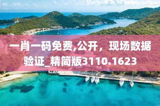 一肖一碼免費,公開，現(xiàn)場數(shù)據(jù)驗證_精簡版3110.1623