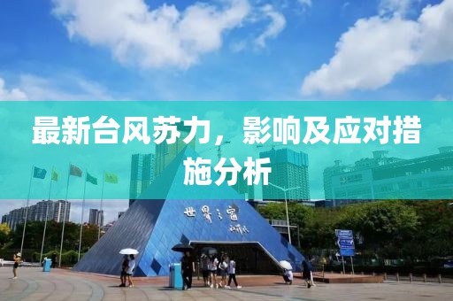 最新臺(tái)風(fēng)蘇力，影響及應(yīng)對(duì)措施分析