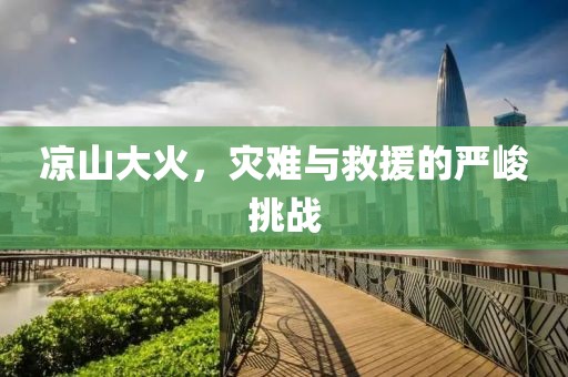涼山大火，災(zāi)難與救援的嚴(yán)峻挑戰(zhàn)
