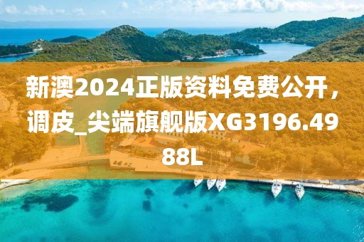 新澳2024正版資料免費(fèi)公開，調(diào)皮_尖端旗艦版XG3196.4988L