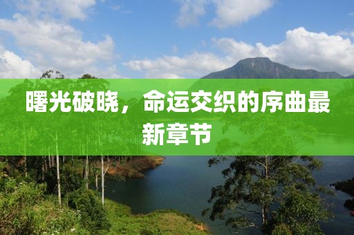 曙光破曉，命運交織的序曲最新章節(jié)