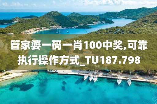 管家婆一碼一肖100中獎(jiǎng),可靠執(zhí)行操作方式_TU187.798