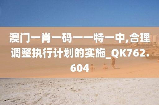 澳門一肖一碼一一特一中,合理調(diào)整執(zhí)行計(jì)劃的實(shí)施_QK762.604