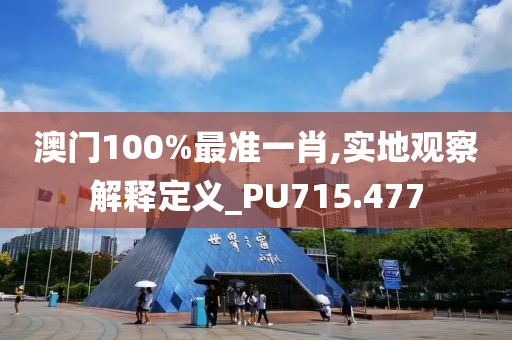 澳門100%最準(zhǔn)一肖,實(shí)地觀察解釋定義_PU715.477