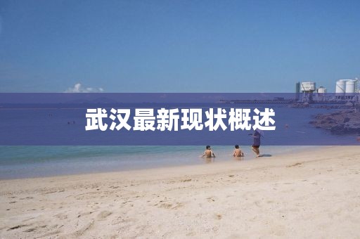 武漢最新現(xiàn)狀概述