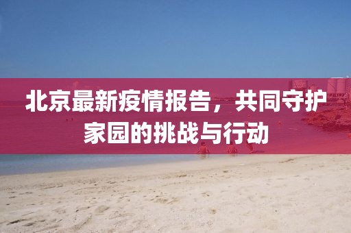 北京最新疫情報告，共同守護家園的挑戰(zhàn)與行動