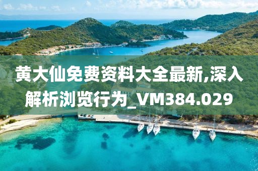 黃大仙免費資料大全最新,深入解析瀏覽行為_VM384.029