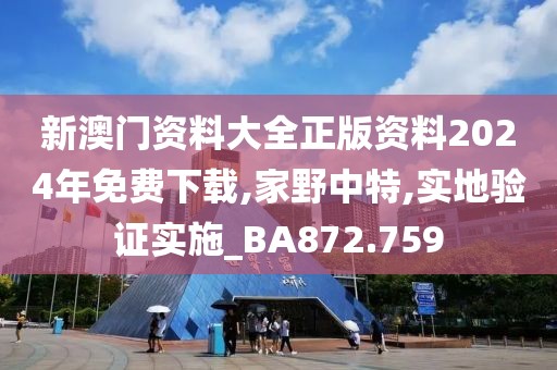 新澳門資料大全正版資料2024年免費(fèi)下載,家野中特,實(shí)地驗(yàn)證實(shí)施_BA872.759