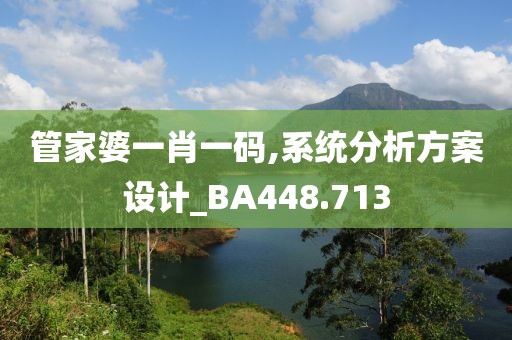 管家婆一肖一碼,系統(tǒng)分析方案設(shè)計_BA448.713