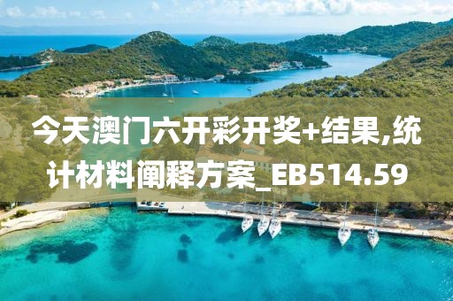 今天澳門(mén)六開(kāi)彩開(kāi)獎(jiǎng)+結(jié)果,統(tǒng)計(jì)材料闡釋方案_EB514.59